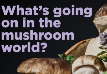 What’s going on in the mushroom world? Give us your input