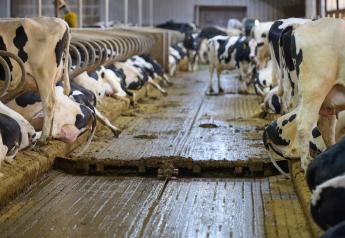 Facility Focus: Are Alley Scrapers Right for Your Dairy?
