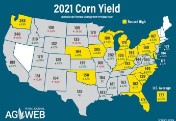 These 13 States Had Record Corn and Soybean Yields in 2021