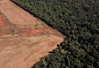 Clearing Way for More Farm and Ranch Land, Brazil's Deforestation Rises to Highest Level Since 2015