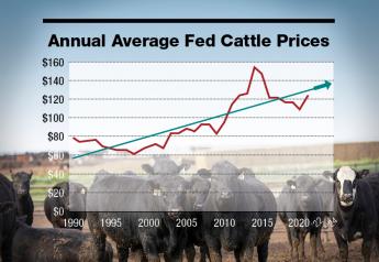Here’s Why Fed Cattle Prices Could Reach $180 by 2024
