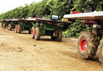 California table grape growers continue path to mechanization, automation 