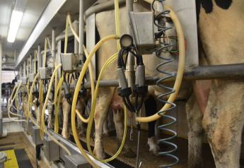 Unimpressive USDA Milk Production Report Spells Surplus in More Ways Than One  