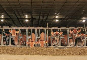 Are Cows Getting Enough to Eat? Try the “Semicircle” Test
