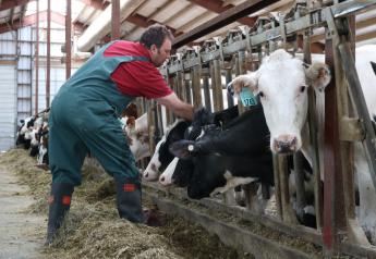 Cattle Veterinarians Have New Vaccination Guidelines