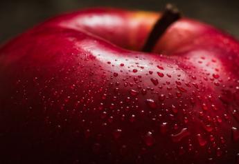 2022 Washington apple crop estimate dips 11.1% from 2021 crop output