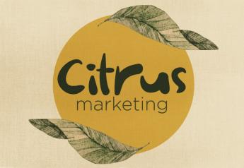 Packer seeking input from citrus marketers