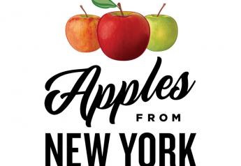 Apples from New York company promotes flavor, grower connection, healthy eating