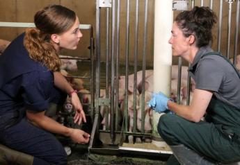 5 Pork Industry Opportunities: Keep Swine Disease Out