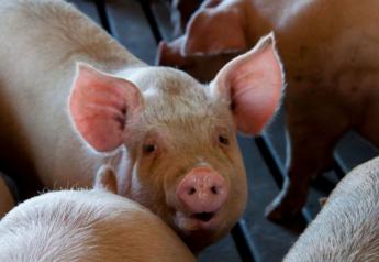 Wisconsin DNR Rejects Permit Request for 26,000-Hog Facility
