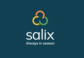 Salix Fruits opens new office in Spain
