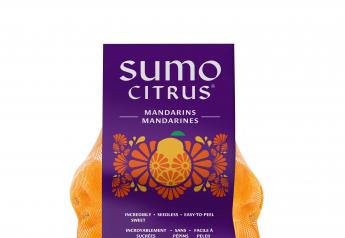 After 12 years, Sumo Citrus mandarin sales still going strong