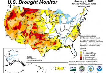 Amount of winter wheat area in drought remains steady