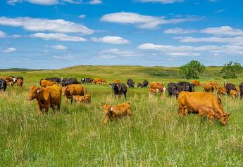 Good Grazing Makes Cent$ Connects Ranchers to Range Science