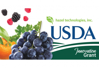 Hazel Tech reaches $1.5M in USDA funding with new innovation grant