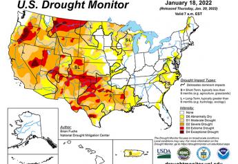 Drought conditions improve slightly for winter wheat