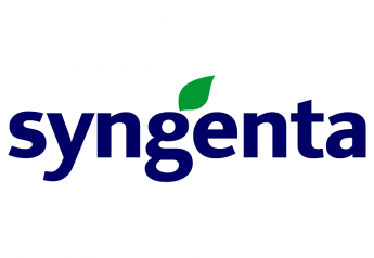 Syngenta offers new option for potato post-harvest disease control