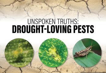 Unspoken Truths About Drought-Loving Pests