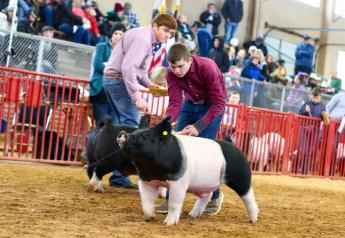 Fort Worth Stock Show Shatters Records, Raises $6.1M for Youth