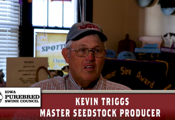 Seedstock Award Recognizes Family's Long Ties to Pig Production