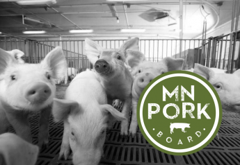 Four Executive Board Members Elected to Serve on Minnesota Pork Board