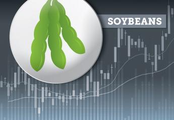 Acreage Surprise: Soybeans Fall Short (For Now)