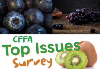 Fresh Fruit Association releases list of top issues it plans to address