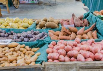 2021 retail potato sales jump compared to 2019, but lag 2020 pace