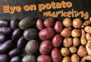 Potato grower-shippers enjoy better prices but face headwinds of higher costs