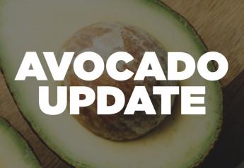 UPDATED: Fresh avocado imports from Mexico resume