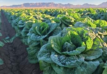 Canadian government sets more requirements for Salinas Valley romaine 