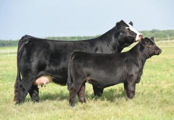 New Technology Allows Producers To Compare EPDs Across Breeds