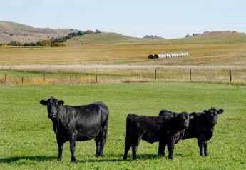 Elanco Animal Health Doubles Down on Improved Environmental Sustainability and Nutrient Utilization in Beef Production 