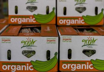 Organics Unlimited sees rising consumer demand for organic, ethically sourced bananas