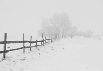 Winter Storms Are On the Way: Are Your Barns Safe?