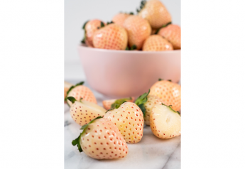Wish Farms California increases acreage of Pink-A-Boo Pineberries in Southern California 