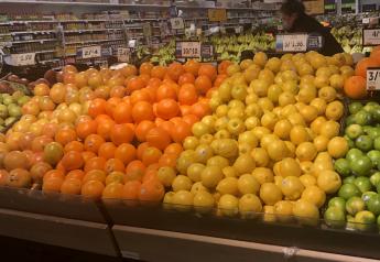 Tangerines, lemons and limes see big per capita gains 