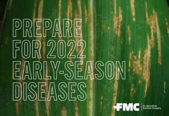 Two Early-Season Corn Diseases To Scout For