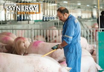 Train Your Employees for Electronic Sow Feeding Success