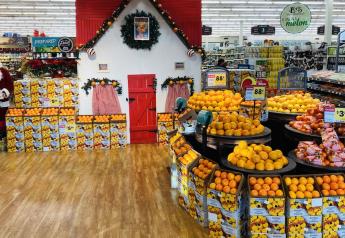 Organic citrus is shining bright in retail produce departments