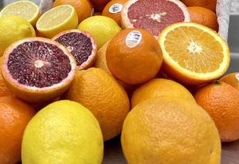 Fruit World anticipates strong volumes of organic citrus