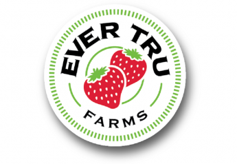 Ever Tru Farms ships first harvest of strawberries