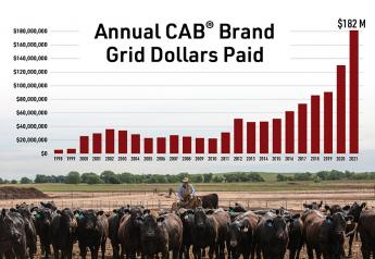Annual Certified Angus Beef Premiums Reach Record $182 Million