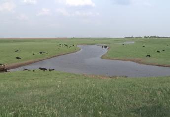 Whole-Farm Philosophy: South Dakota farm couple’s conservation plan integrates crops and cattle