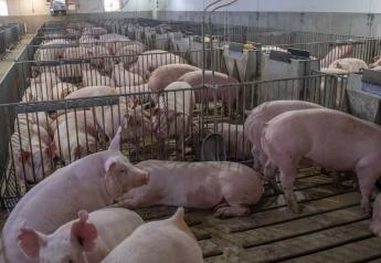 Second FFA Swine Facility Management Contest Winners Announced