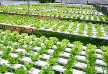 Key Technology introduces digital sorters for fresh-cut, hydroponically grown leafy greens