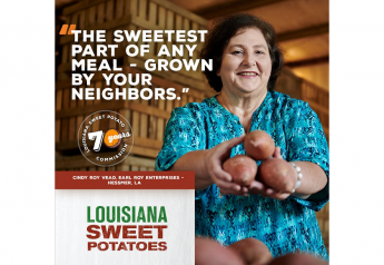Louisiana Sweet Potato Commission celebrates 70 years