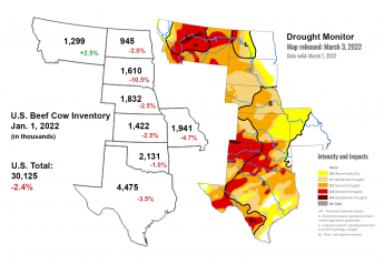 Drought’s Impact On Cow Inventories in the Central Plains