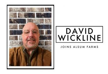 David Wickline joins Alsum Farms & Produce as sales, business development manager   
