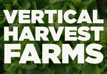 Vertical Harvest Farms appoints William Morrow as Chief Financial Officer